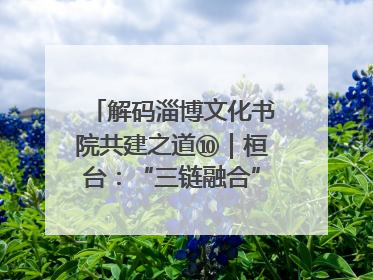 解码淄博文化书院共建之道⑩｜桓台：“三链融合”撬动基层文化共治新动能