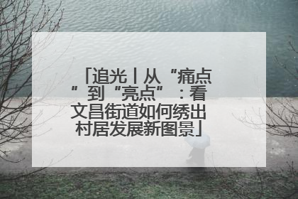 追光丨从“痛点”到“亮点”：看文昌街道如何绣出村居发展新图景