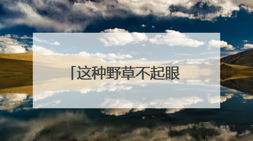 这种野草不起眼 却是深圳新物种 密穗砖子苗现身光明，近年来深圳物种名录不断刷新