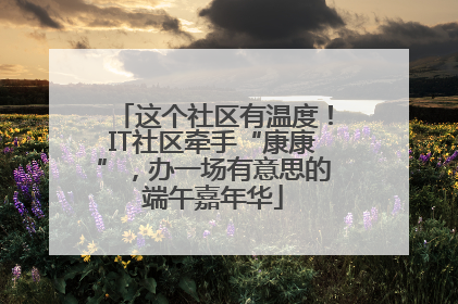 这个社区有温度！IT社区牵手“康康”，办一场有意思的端午嘉年华