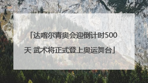 达喀尔青奥会迎倒计时500天 武术将正式登上奥运舞台