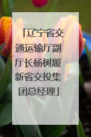 辽宁省交通运输厅副厅长杨树履新省交投集团总经理