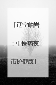 辽宁岫岩：中医药夜市护健康