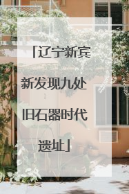 辽宁新宾新发现九处旧石器时代遗址
