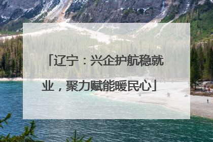 辽宁：兴企护航稳就业，聚力赋能暖民心