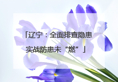 辽宁：全面排查隐患 实战防患未“燃”