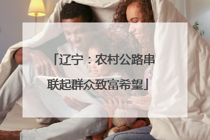 辽宁：农村公路串联起群众致富希望