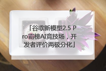 谷歌新模型2.5 Pro霸榜AI竞技场，开发者评价两极分化
