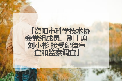 资阳市科学技术协会党组成员、副主席刘小彬 接受纪律审查和监察调查