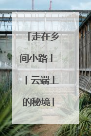 走在乡间小路上丨云端上的秘境