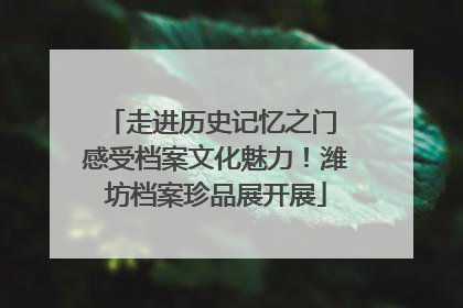 走进历史记忆之门 感受档案文化魅力！潍坊档案珍品展开展
