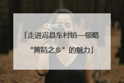 走进嵩县车村镇—领略“黄精之乡”的魅力