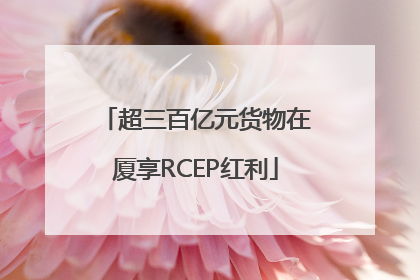 超三百亿元货物在厦享RCEP红利