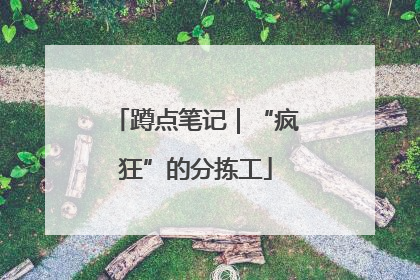 蹲点笔记｜“疯狂”的分拣工