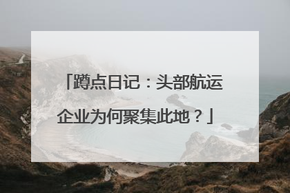 蹲点日记：头部航运企业为何聚集此地？