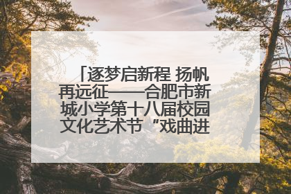 逐梦启新程 扬帆再远征——合肥市新城小学第十八届校园文化艺术节“戏曲进校园专场演出”