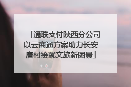 通联支付陕西分公司以云商通方案助力长安唐村绘就文旅新图景
