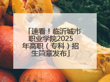 速看！临沂城市职业学院2025年高职（专科）招生简章发布
