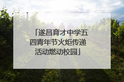 遂昌育才中学五四青年节火炬传递活动燃动校园