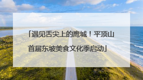 遇见舌尖上的鹰城！平顶山首届东坡美食文化季启动
