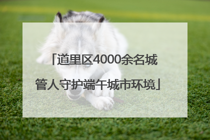 道里区4000余名城管人守护端午城市环境