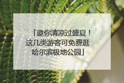 邀你清凉过盛夏！这几类游客可免费逛哈尔滨极地公园