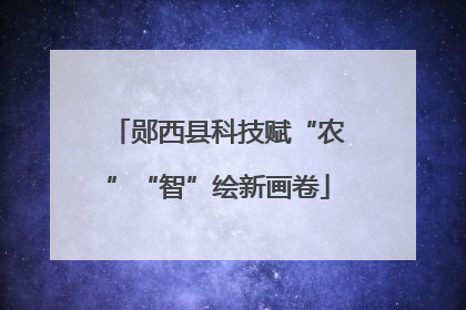 郧西县科技赋“农”“智”绘新画卷