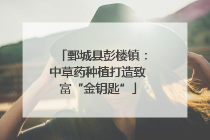鄄城县彭楼镇：中草药种植打造致富“金钥匙”