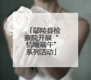鄢陵县检察院开展“情暖端午”系列活动