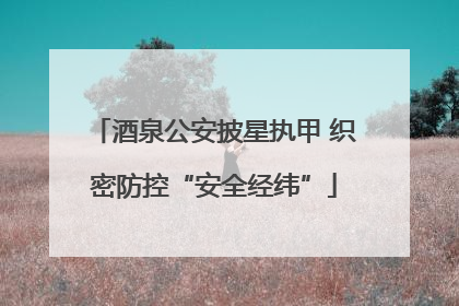 酒泉公安披星执甲 织密防控“安全经纬”