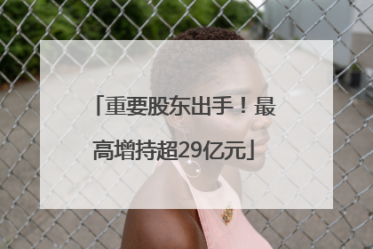 重要股东出手！最高增持超29亿元