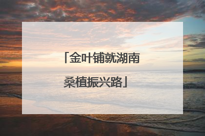 金叶铺就湖南桑植振兴路