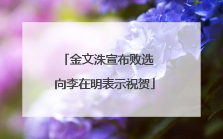 金文洙宣布败选 向李在明表示祝贺
