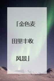 金色麦田里丰收风景