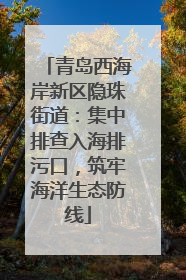 青岛西海岸新区隐珠街道：集中排查入海排污口，筑牢海洋生态防线