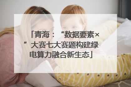 青海：“数据要素×”大赛七大赛题构建绿电算力融合新生态