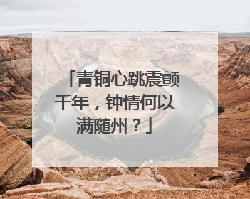 青铜心跳震颤千年，钟情何以满随州？
