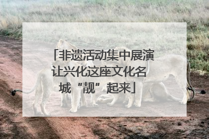 非遗活动集中展演 让兴化这座文化名城“靓”起来