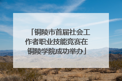 铜陵市首届社会工作者职业技能竞赛在铜陵学院成功举办
