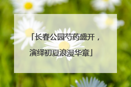 长春公园芍药盛开，演绎初夏浪漫华章