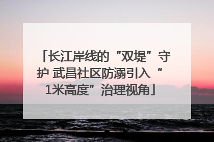 长江岸线的“双堤”守护 武昌社区防溺引入“1米高度”治理视角