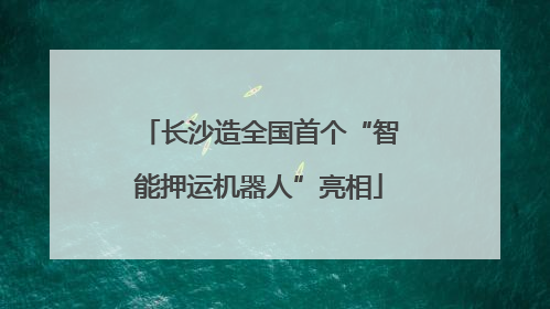 长沙造全国首个“智能押运机器人”亮相