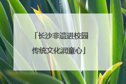长沙非遗进校园 传统文化润童心