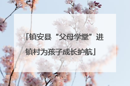 镇安县“父母学堂”进镇村为孩子成长护航