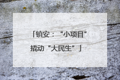 镇安：“小项目”撬动“大民生”