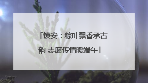 镇安：粽叶飘香承古韵 志愿传情暖端午