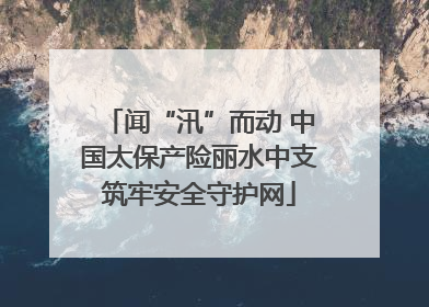 闻“汛”而动 中国太保产险丽水中支筑牢安全守护网