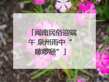 闽南民俗迎端午 泉州雨中“嗦啰嗹”