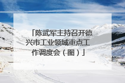 陈武军主持召开德兴市工业领域重点工作调度会（图）