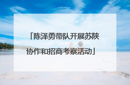 陈泽勇带队开展苏陕协作和招商考察活动